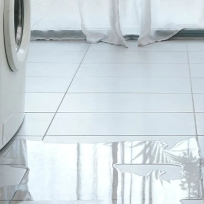 Appliance Leak Cleanup in Sussex County, DE