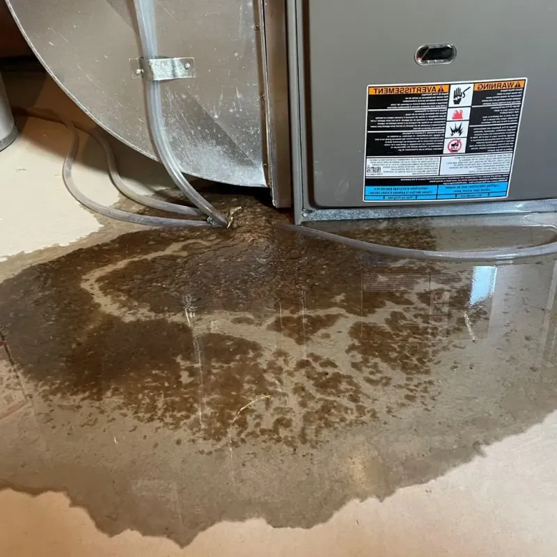 Pipe Burst and Leak Restoration in Sussex County, DE